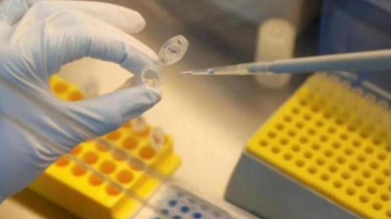 covid 19 vaccine