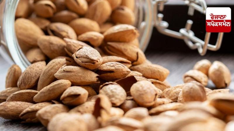 Consuming raw almonds is harmful to health news Consuming raw almonds is harmful to health news