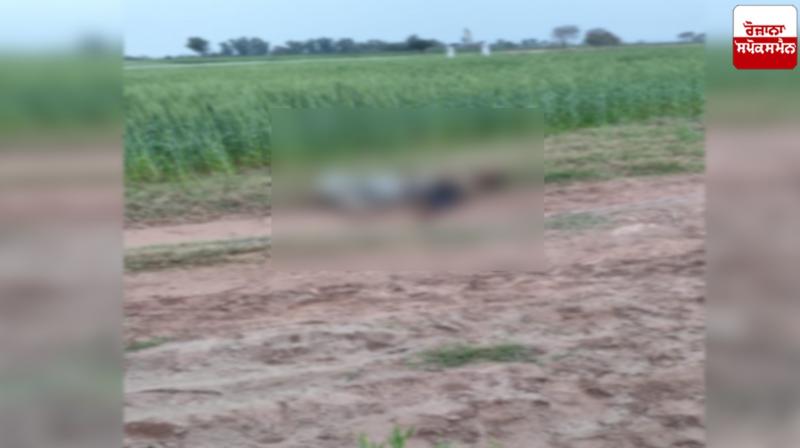 BSF killed Pakistani infiltrators Pathankot News BSF killed Pakistani infiltrators Pathankot News