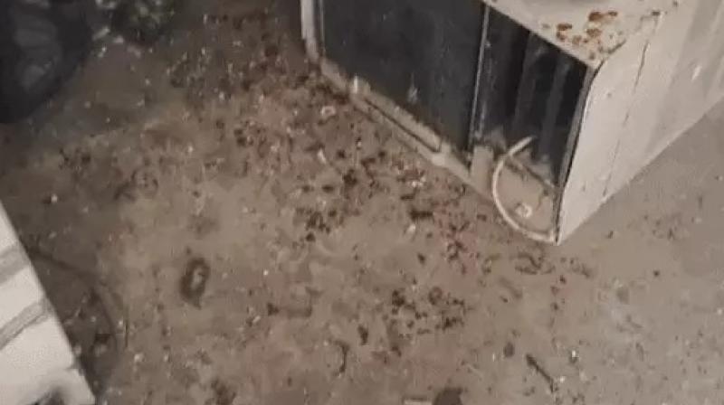 Explosion in scrap warehouse Ludhiana News