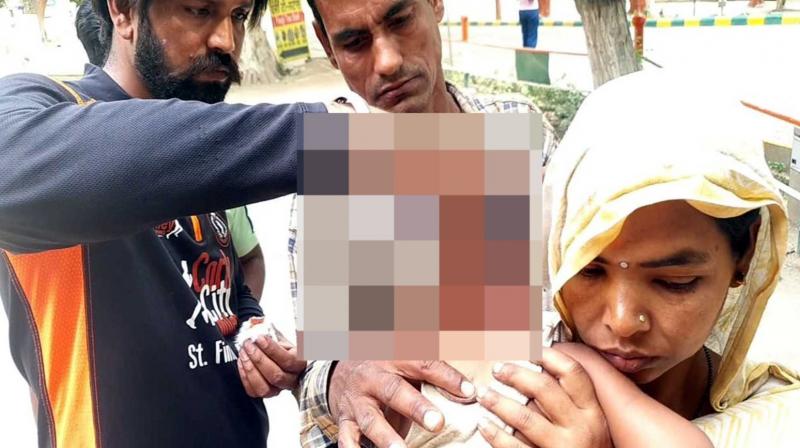 A stray dog ran away carrying the only brother of three sisters KotKapura News A stray dog ran away carrying the only brother of three sisters KotKapura News