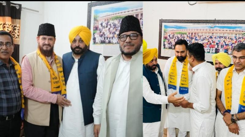 AAP AAP