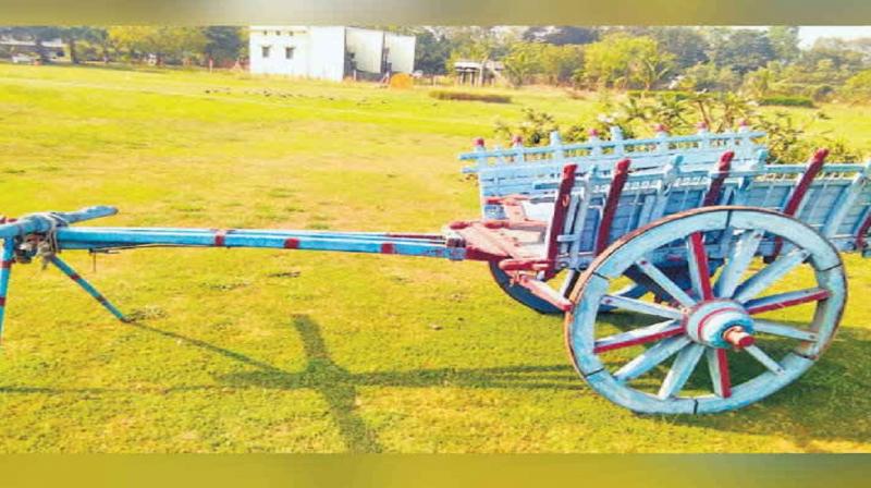 Bullock cart 