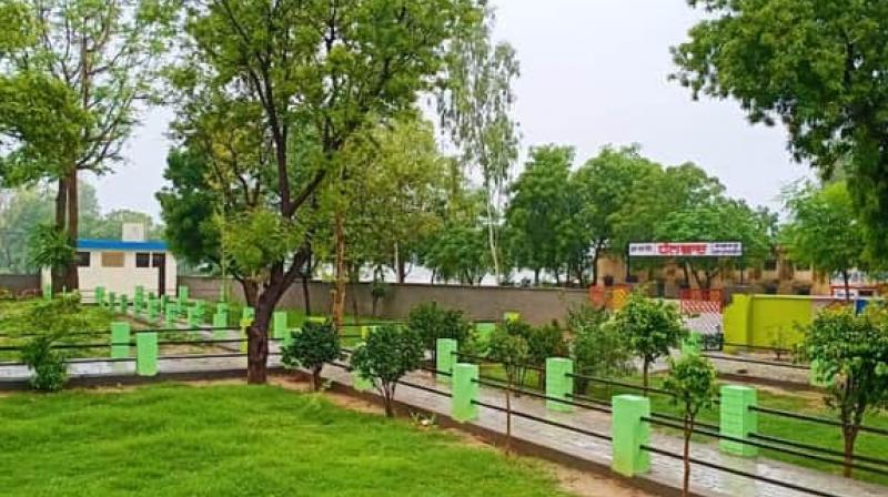 park park