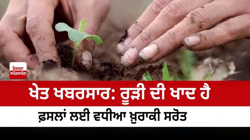 Manure is an good source of nutrients for crops Manure is an good source of nutrients for crops