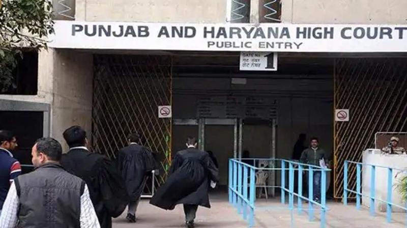 Punjab and Haryana High Court Punjab and Haryana High Court