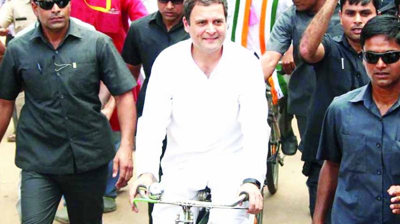 Rahul Gandhi on cycle Rahul Gandhi on cycle
