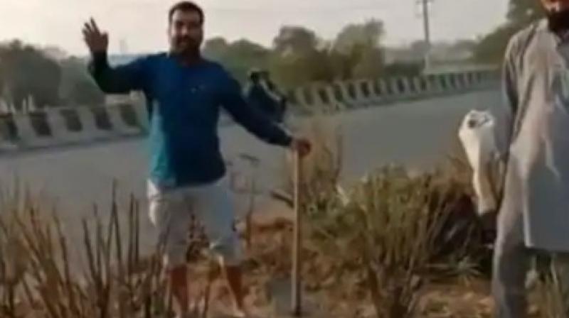 Farmers start planting vegetables on Delhi Highways Farmers start planting vegetables on Delhi Highways