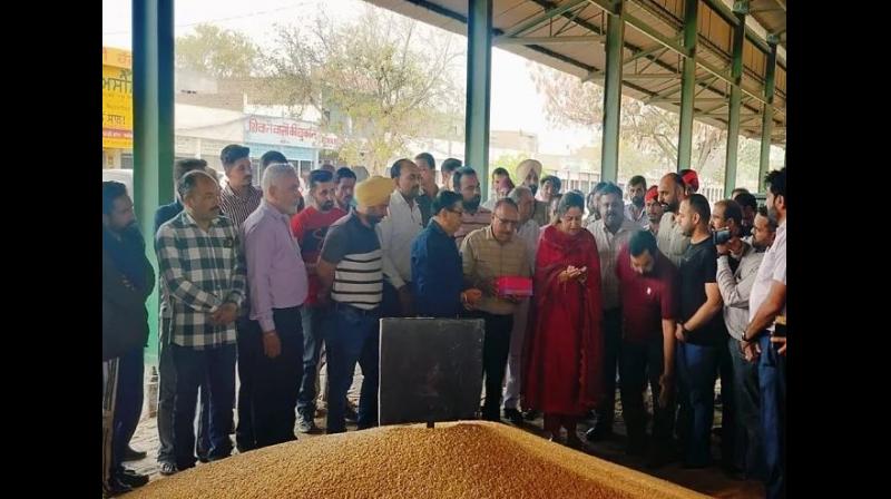 Fazilka Fazilka