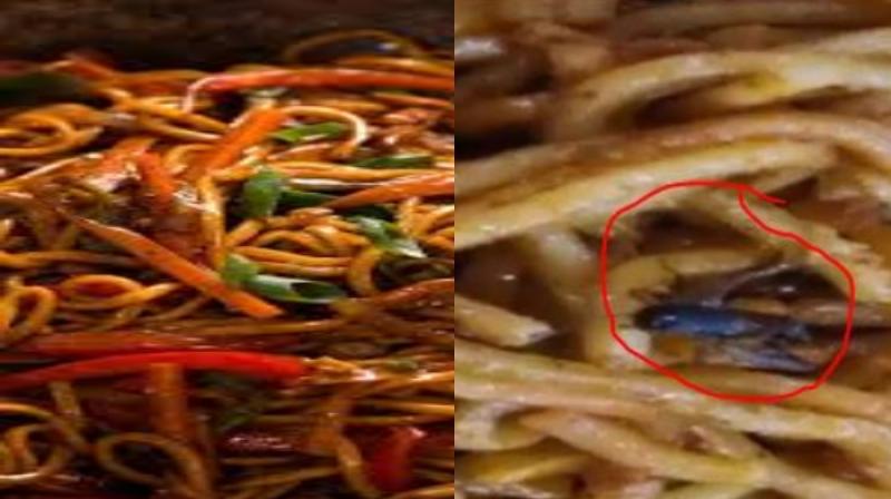 Noodles Noodles