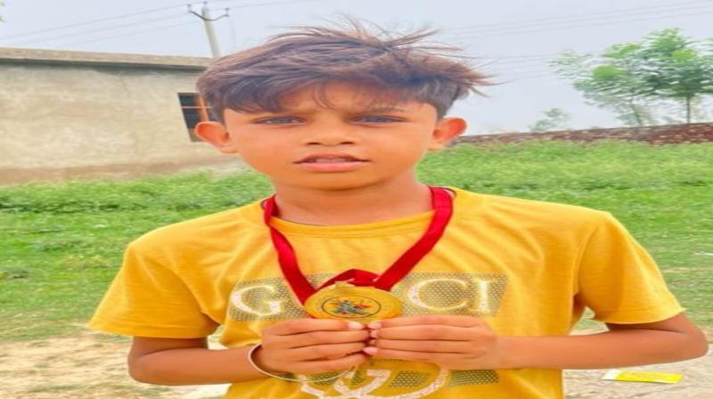 The dog bit the innocent Patiala News in punjabi The dog bit the innocent Patiala News in punjabi