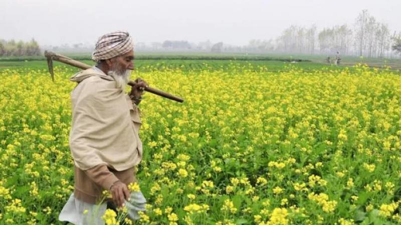 Now farmers can get kisan credit card kcc in just 15 days