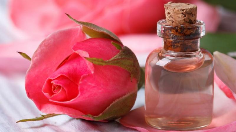 rose water rose water