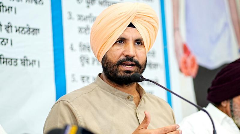 Punjab Congress News in punjabi 