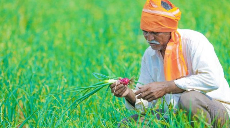 PM Kisan scheme 