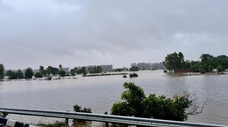 PM Narendra Modi to visit Punjab, Haryana and other flood-affected states PM Narendra Modi to visit Punjab, Haryana and other flood-affected states