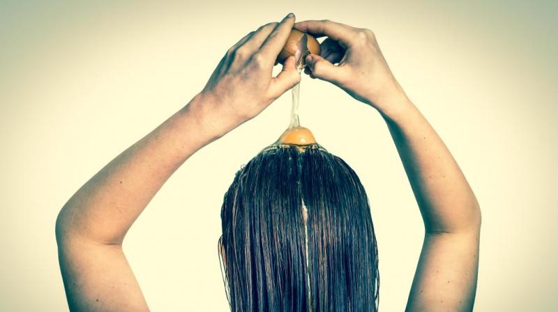 Egg works as a conditioner for hair Egg works as a conditioner for hair