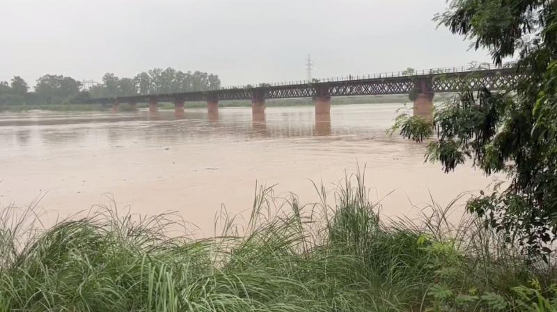 The water level has increased in the Beas river in Punjab The water level has increased in the Beas river in Punjab