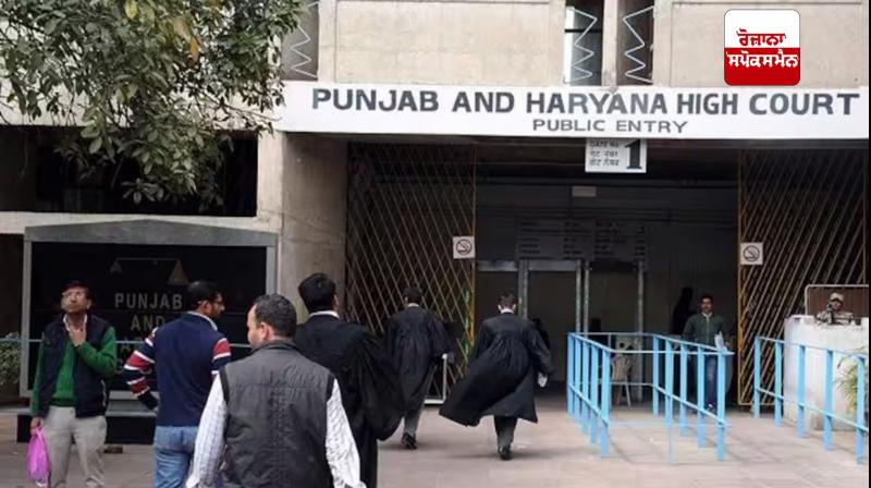 punjab and haryana high court punjab and haryana high court