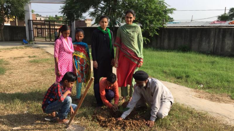 School students planted School students planted
