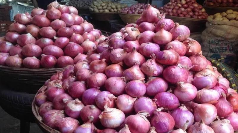 Onion price to decrease from next week as fresh crop starts arriving Onion price to decrease from next week as fresh crop starts arriving