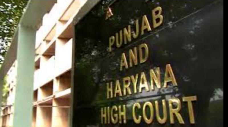 Punjab and Haryana High Court Punjab and Haryana High Court