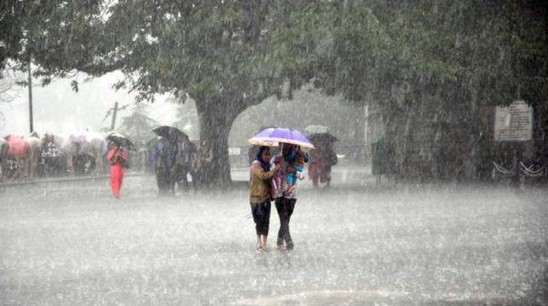 Rain Rain
