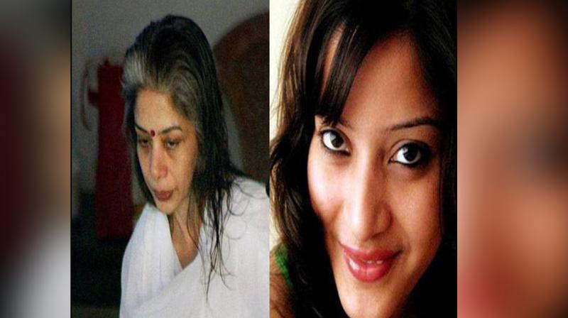 Sheena Bora case Sheena Bora case