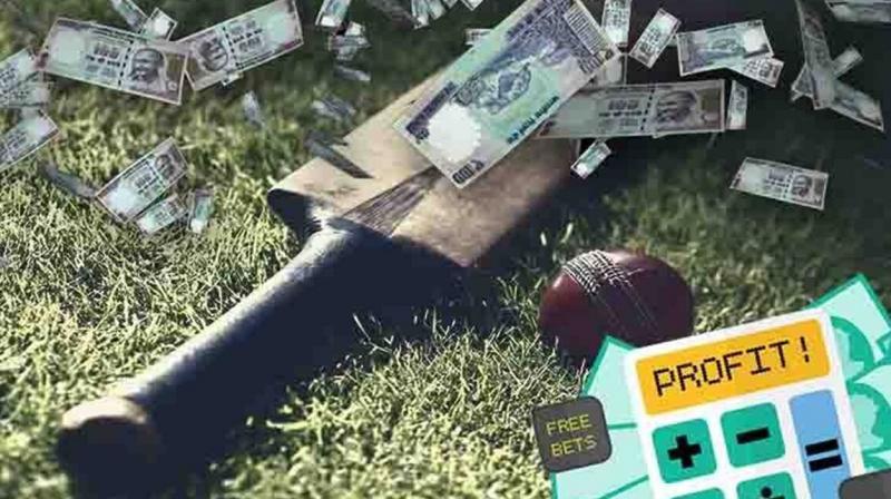 Big success of Pune police, IPL betting racket busted, 53 people arrested Big success of Pune police, IPL betting racket busted, 53 people arrested