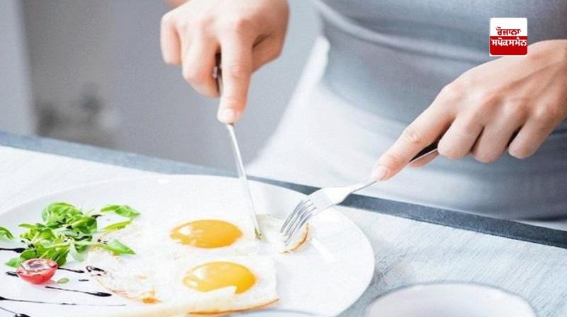 Eating eggs is not only for health but also for the mind Eating eggs is not only for health but also for the mind