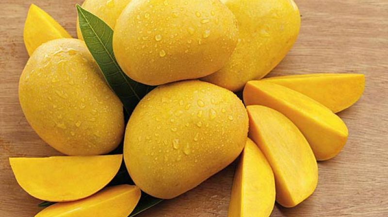 Mangoes Mangoes