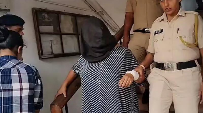 Goa Child Murder case Start-Up CEO May Have Smothered Child With Pillow: Doctor After Autopsy Goa Child Murder case Start-Up CEO May Have Smothered Child With Pillow: Doctor After Autopsy
