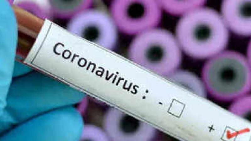 Corona virus Corona virus
