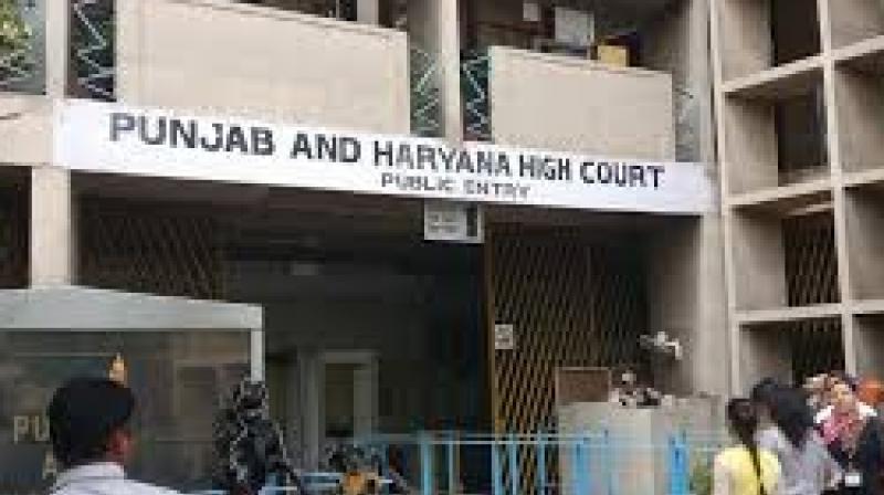 punjab and haryana high court punjab and haryana high court