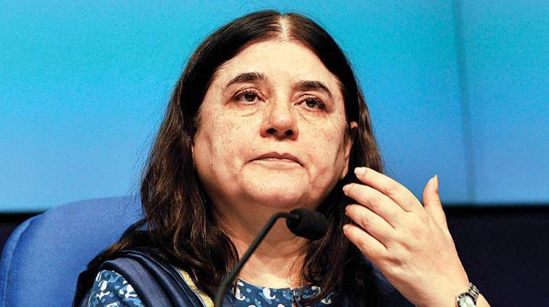 Maneka Gandhi