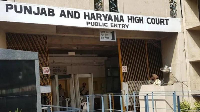 Punjab and high Court Punjab and high Court