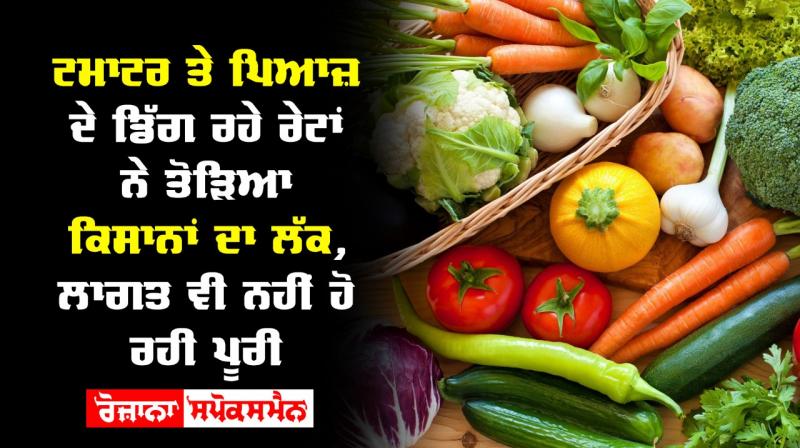 Tomato onion price get less than one rupee unlock 1 start demand for vegetables
