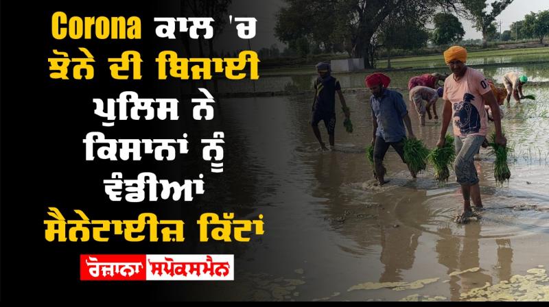Paddy sowing started in punjab during covid 19 pandemic