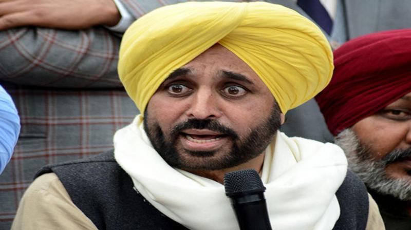 Harsimrat Kaur Badal Bhagwant Mann Harsimrat Kaur Badal Bhagwant Mann