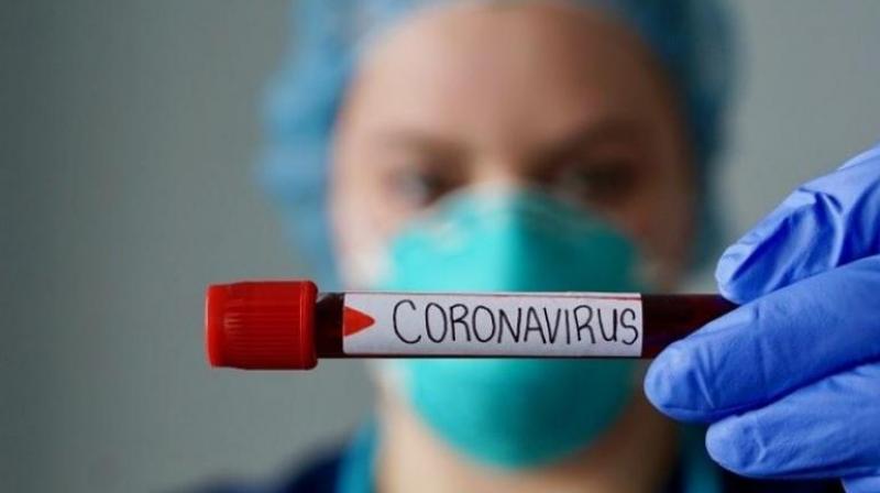 Corona virus Corona virus