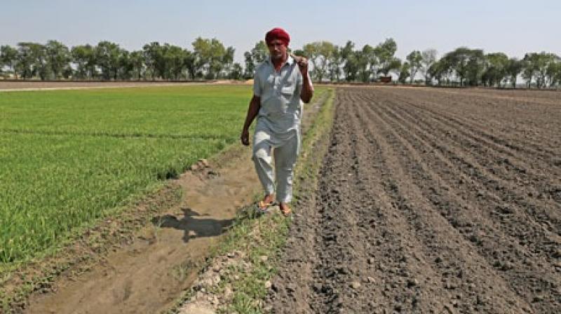 Pradhan mantri kisan samman nidhi scheme link to kcc kisan credit card