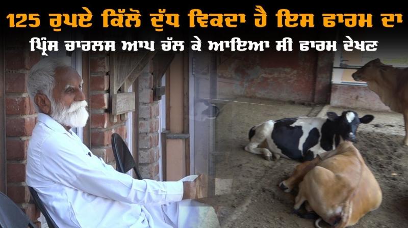 Khetan De Putt Organic Farming Farming Diary Farm Khetan De Putt Organic Farming Farming Diary Farm