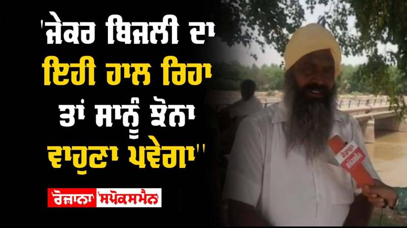 Paddy Crops Paddy Crops Cultivation Power Cuts Farmers Captain Amarinder Singh Paddy Crops Paddy Crops Cultivation Power Cuts Farmers Captain Amarinder Singh