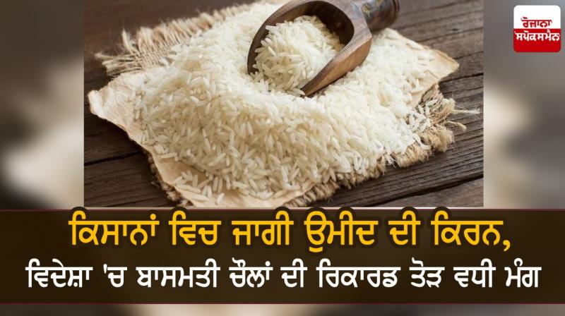 Indian basmati rice more demand in foreign countries farmers will be get good rice Indian basmati rice more demand in foreign countries farmers will be get good rice
