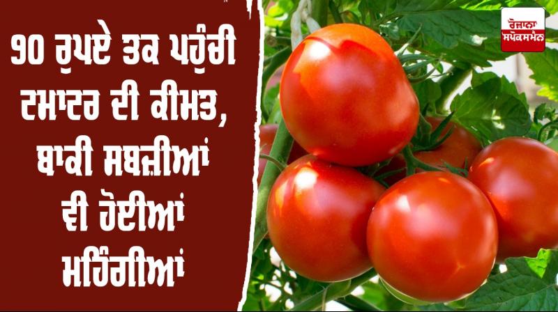 Tomato prices soaring amidst diesel price hike and rain supply Tomato prices soaring amidst diesel price hike and rain supply