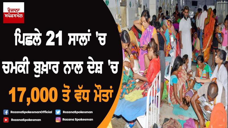 Over 17,000 people died from encephalitis in India last 21 years Over 17,000 people died from encephalitis in India last 21 years