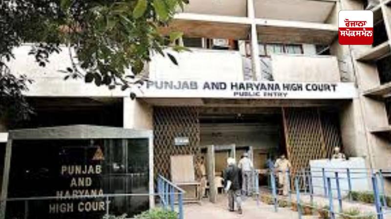  High Court seeks response from Panjab University