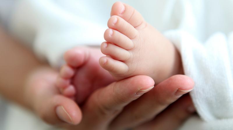new born baby new born baby