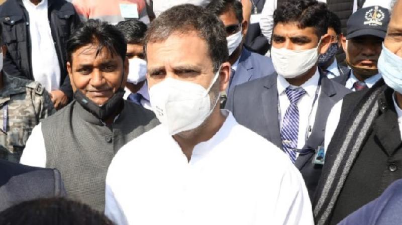 Rahul gandhi Rahul gandhi