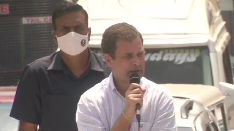 Rahul Gandhi Rahul Gandhi